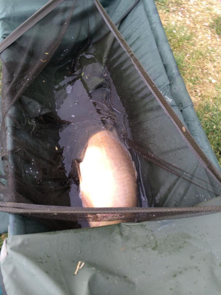 Lacul Mandarino ( Italia ) - image111111111111111111111111111.jpg